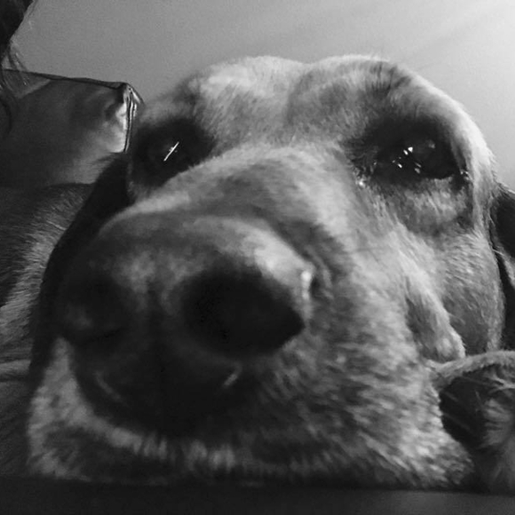 Meet your Posher, Jeannette - Picture 1 of 1